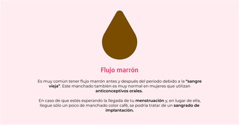 Tipos de flujo Vaginal Está todo correcto Descúbrelo Blog