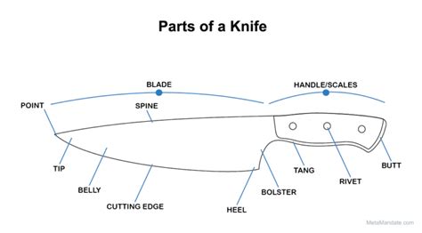 11 Parts Of A Knife Their Names And Functions Graphic