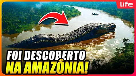 O Que Eles Capturaram Nas Profundezas Da Selva Amaz Nica Desafia Toda