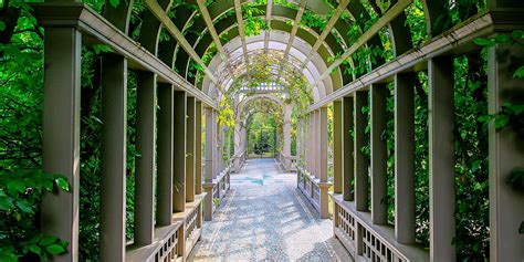 Top 10 Things To Do In Hamilton And The Waikato Nz Top Oz Tours