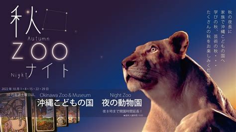 Night Zoo At Okinawa Zoo And Museum Oki Social