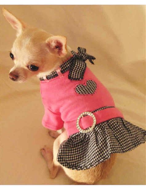 16 Best Cute Girl Dog Clothes Images On Pinterest Girl Dog Clothes