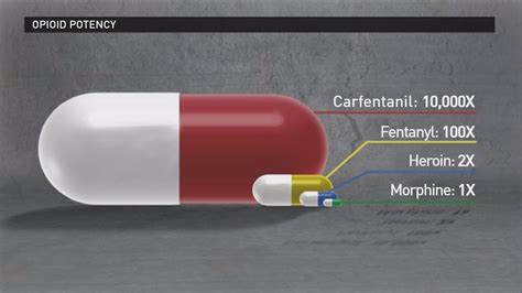 State Authorities Warn Of The Dangers Of Fentanyl In East Tennessee