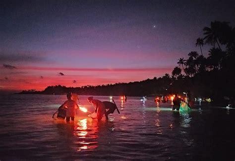 Unik Dan Meriahnya Tradisi Berburu Timba Laor Di Pesisir Pulau Ambon