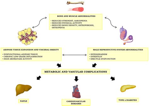 Frontiers Obesity Male Reproductive Function And Bariatric Surgery