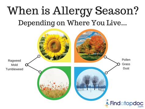 What Are the Causes and Symptoms of Fall Allergies?