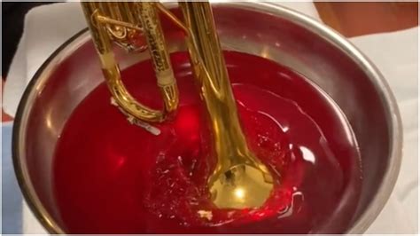 Musician Plays His Trumpet Into A Bowl Of Red Jell O