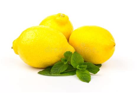 Grupo De Limones Con Hojas De Menta Aisladas En Fondo Blanco Imagen De