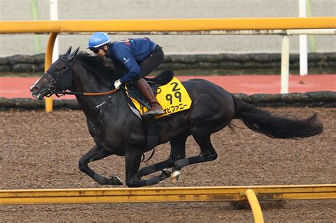 【中京記念追い切り】エピファニーは馬なりでラスト10・9秒 栗東滞在も不安なし「力みもありません」 競馬ニュース・特集なら東スポ競馬