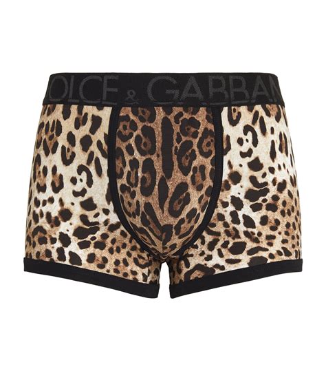 Dolce And Gabbana Leopard Print Boxers Harrods Us