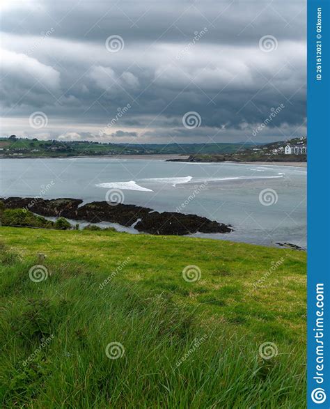 View of Clonakilty Bay. Thick Grass, Coastline of the Ireland. Seaside Landscape Stock Image ...