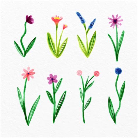 Wildflower Png Cutouts Vectors And Illustrations For Free Download