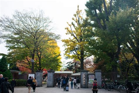 Shinjuku Gyoen - One Of The Best Parks In Tokyo - Ordinary Reviews