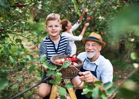 Growing Apples from Seed - Joybilee® Farm | DIY | Herbs | Gardening