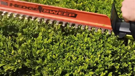 Ryobi Hedge Trimmer 18 Volt Cordless Review Home Improvement Reviewni