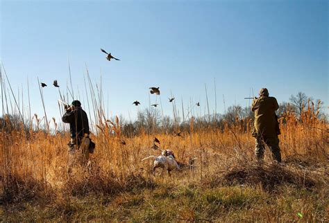 Prairie Wildlife | Mississippi Perks Pass