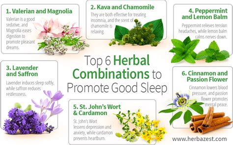 Top 6 Herbal Combinations To Promote Good Sleep Herbs For Sleep