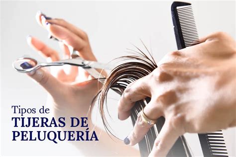 Tipos de tijeras de peluquería y cómo elegirlas Aprende Institute