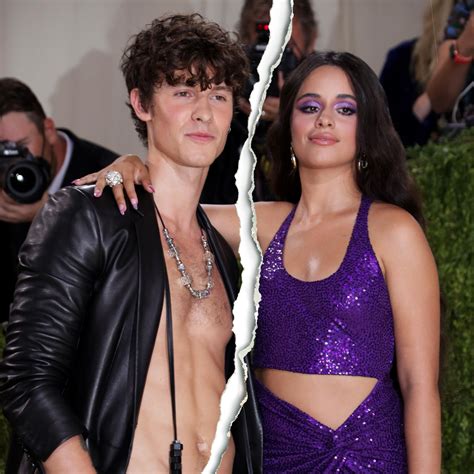 Revealing The Truth Behind Camila Cabello And Shawn Mendes Shocking Split