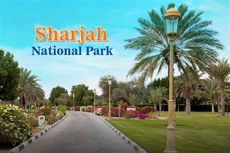 Sharjah National Park Complete Guide Timing Entry Fee