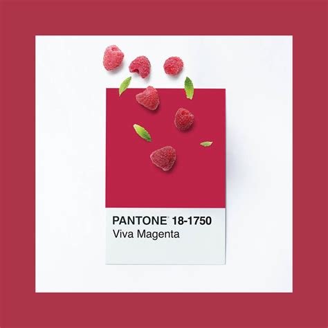 Viva Magenta Pantones Colour Of The Year 2023 In The World Of Design