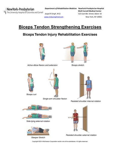 Biceps Tendon Strengthening Exercises - DocsLib