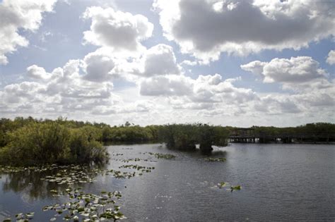 Anhinga Trail of Everglades National Park | ClipPix ETC: Educational ...