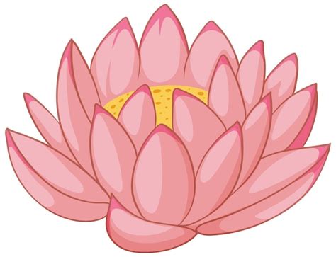 Pink Lotus Flower Clipart