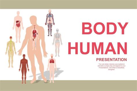 Plantilla Powerpoint Del Cuerpo Humano Plantillas Power Point Gratis