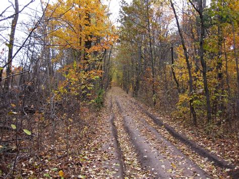 Hike North Of Barrie Ontario At Anne Street And Carson Road