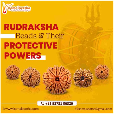Rudraksha Beads And Their Protective Powers Kamalseetha