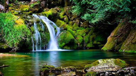 Cascada Naturaleza R O Corriente Agua Roca Bosque Piedra