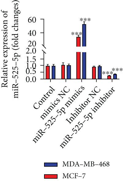 Upregulation Of Mir 525 5p Suppresses Breast Cancer Cell Proliferation