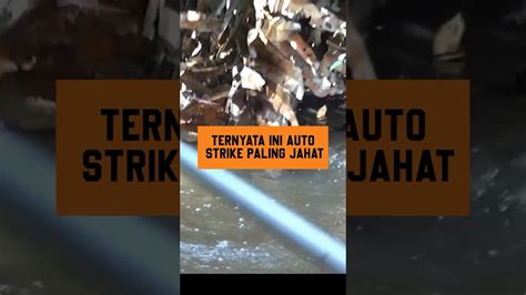 Ternyata Cuma Pakai Ini Jadi Auto Strike Paling Jahat Youtube