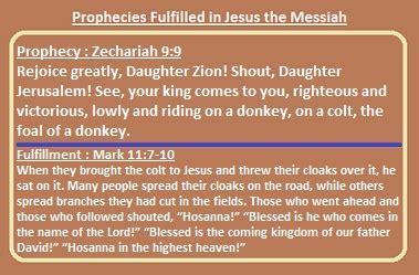 Prophecies fulfilled in Jesus the Messiah: Prophecy: Zechariah 9:9 Fulfillment: Mark 11:7-10 ...