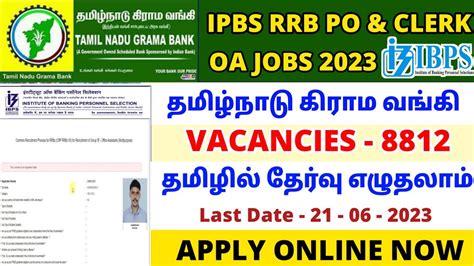 Tamilnadu Grama Bank Recruitment Ibps Rrb Notification Ibps