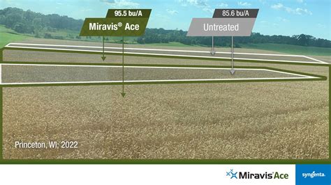 Miravis Ace spurs wheat to better water, nutrient efficiency | AGDAILY