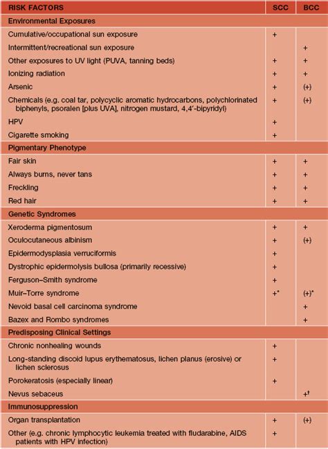 Actinic Keratosis Basal Cell Carcinoma And Squamous Cell Carcinoma