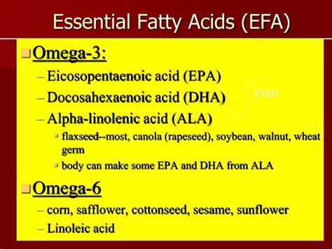 Ppt Essential Fatty Acids Efa Powerpoint Presentation Free