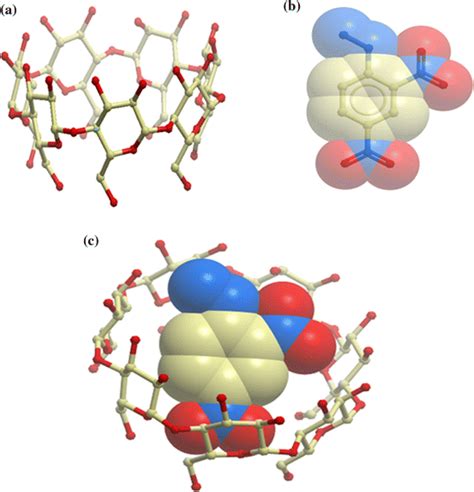 Ball and stick representation of a β CD b DNPH c 1 1 inclusion