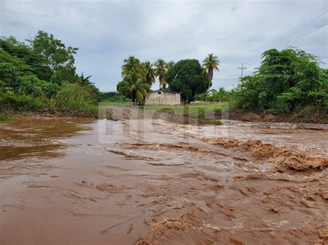 Tras Ceder Bordos Finca 11 Y Buena Vista Entre Los Sectores