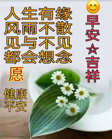 清晨早安祝福语短信句子大全 早上关心朋友的问候语表情图片闪动 知乎