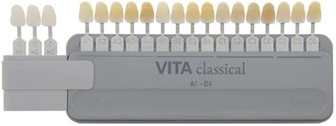 Vita Toothguide 3d Master® With Bleached Shades Whw