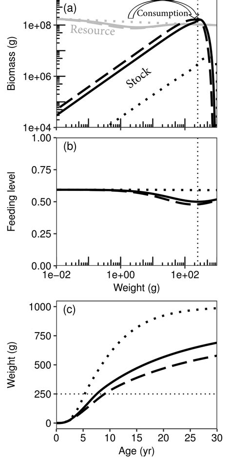 mechanisms  density dependence   model illustrated