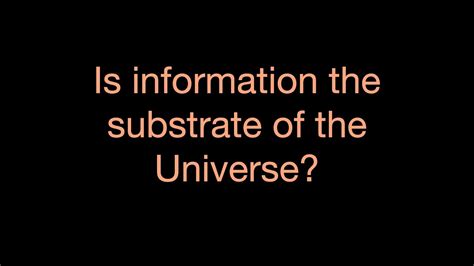 Is Information The Substrate Of The Universe THENAKEDDIALOGUE YouTube