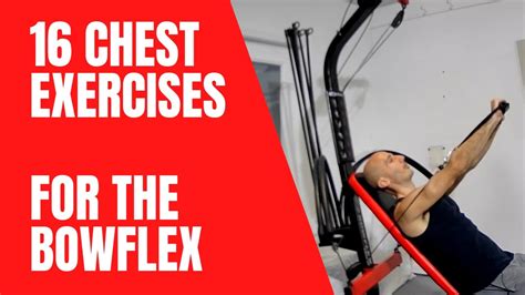 Bowflex Back And Bicep Workout Online