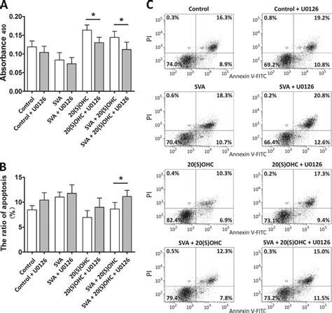 Role Of Raf Mek Erk Signaling Pathway In The Effect Of Download Scientific Diagram