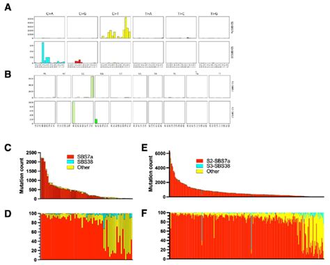 Mutation Signatures Of Malignant Melanoma The Exome Sequences From