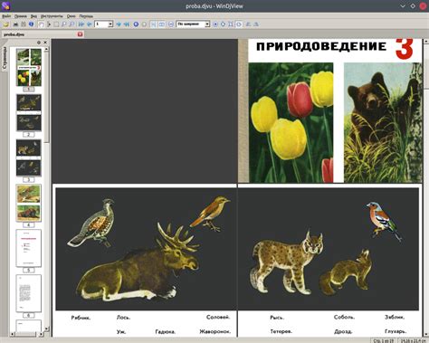 FREMUS: Природоведение. Учебное пособие для 3 класса. М.Н.Скаткин. 1973 ...