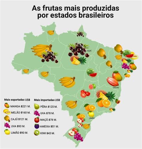 As Frutas De Cada Estado Do Brasil Mur Museu Da Ro A